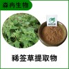 森冉生物 豨莶草提取物 大叶草提取物 比例提取原料粉